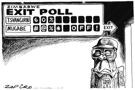 Zimbabwe's exit poll